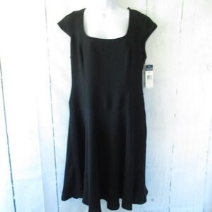 NWT champs parrot cy